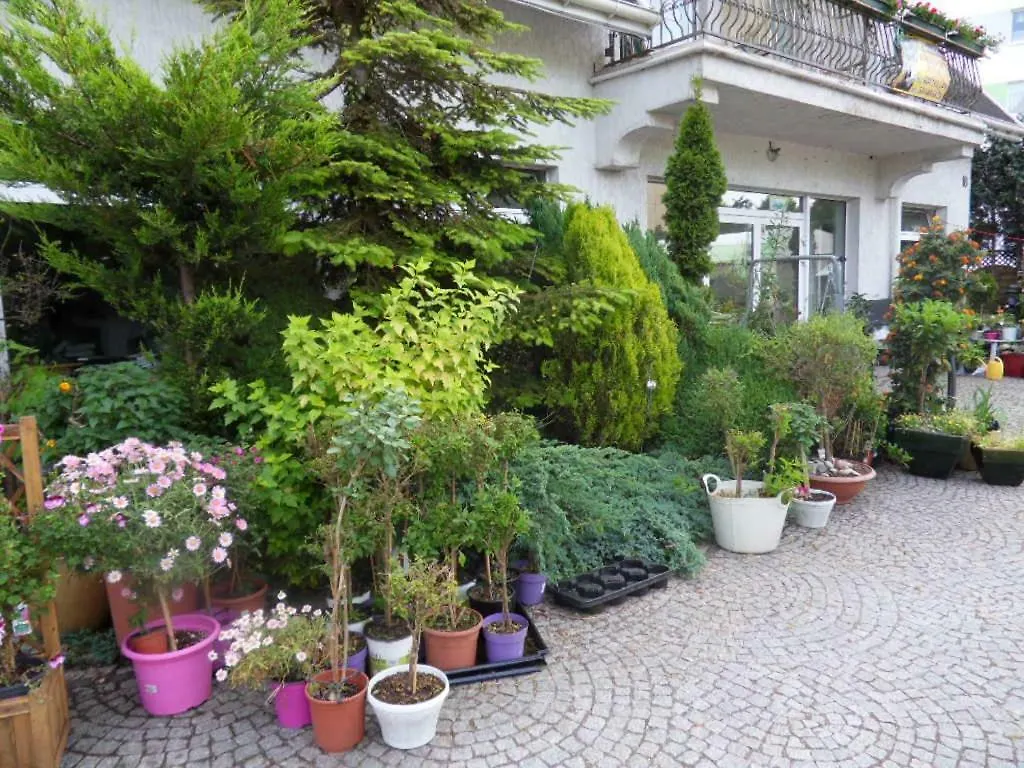 Apartment Kolobrzeg Willa Nad Parseta Poland